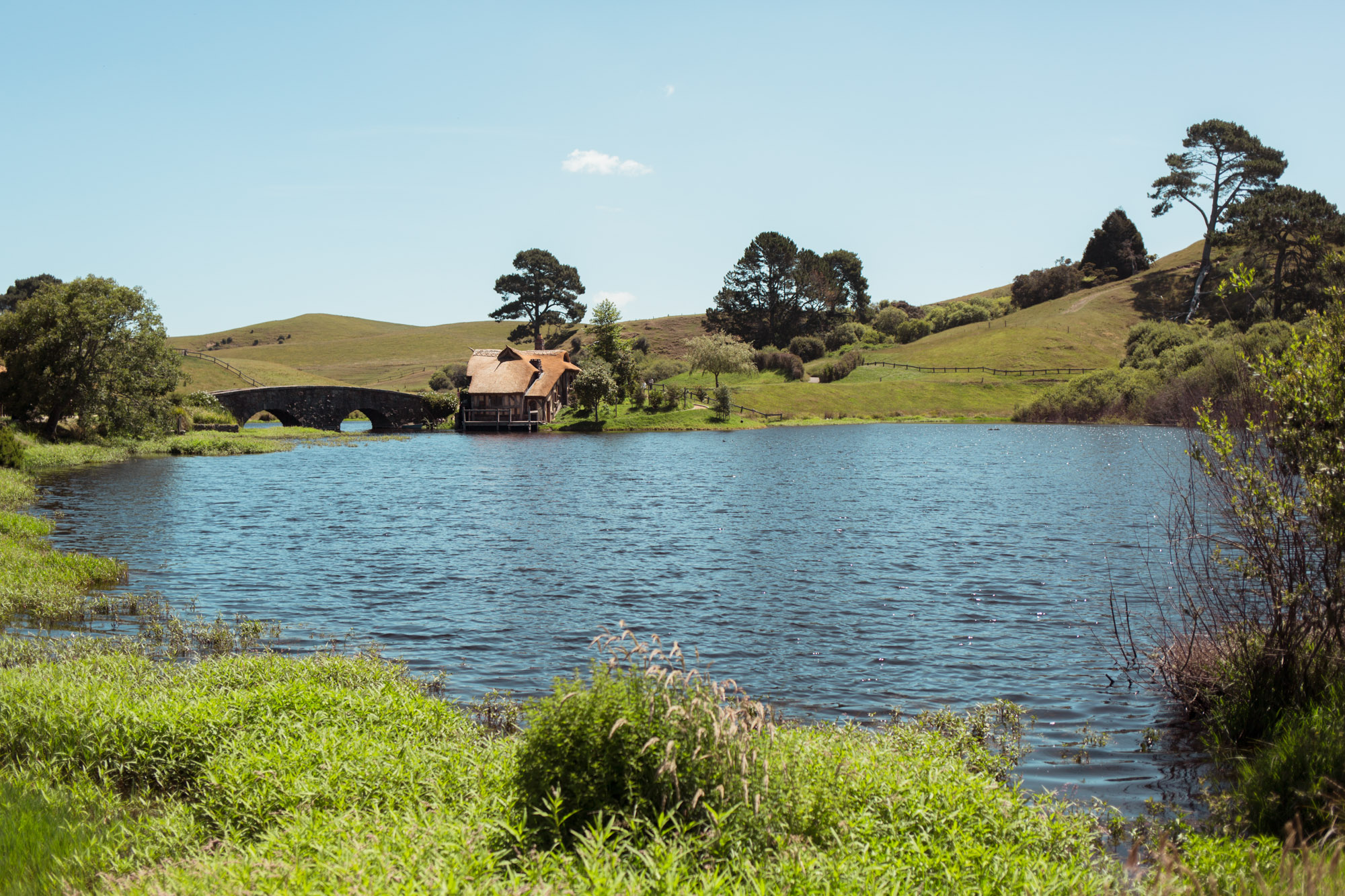 160107_hobbiton_0012