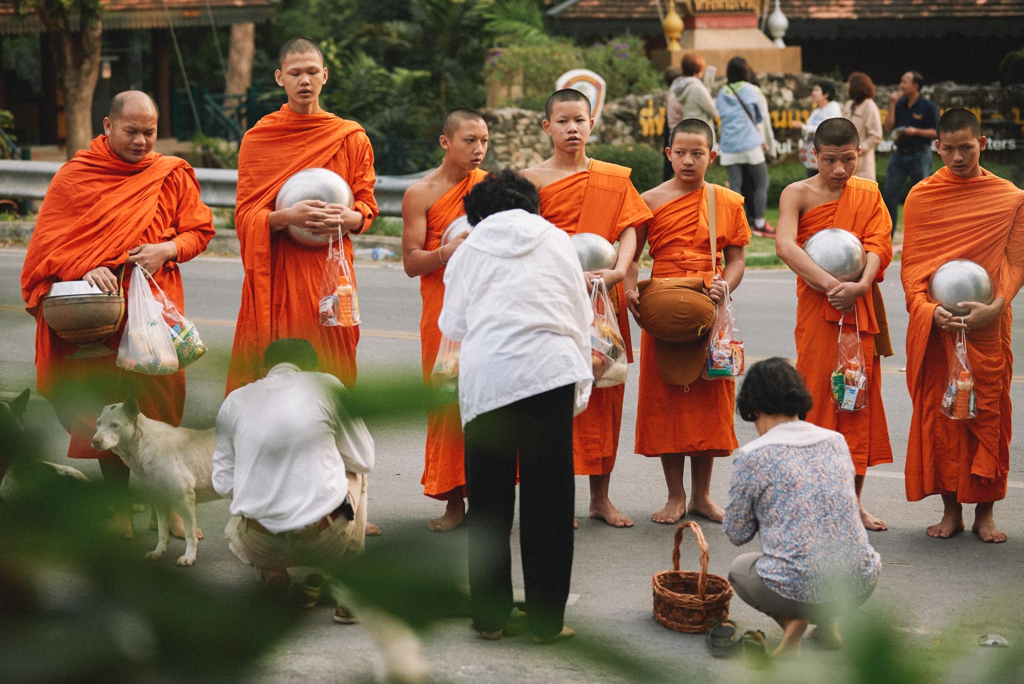 jonathan_chiangmai_v1_0015