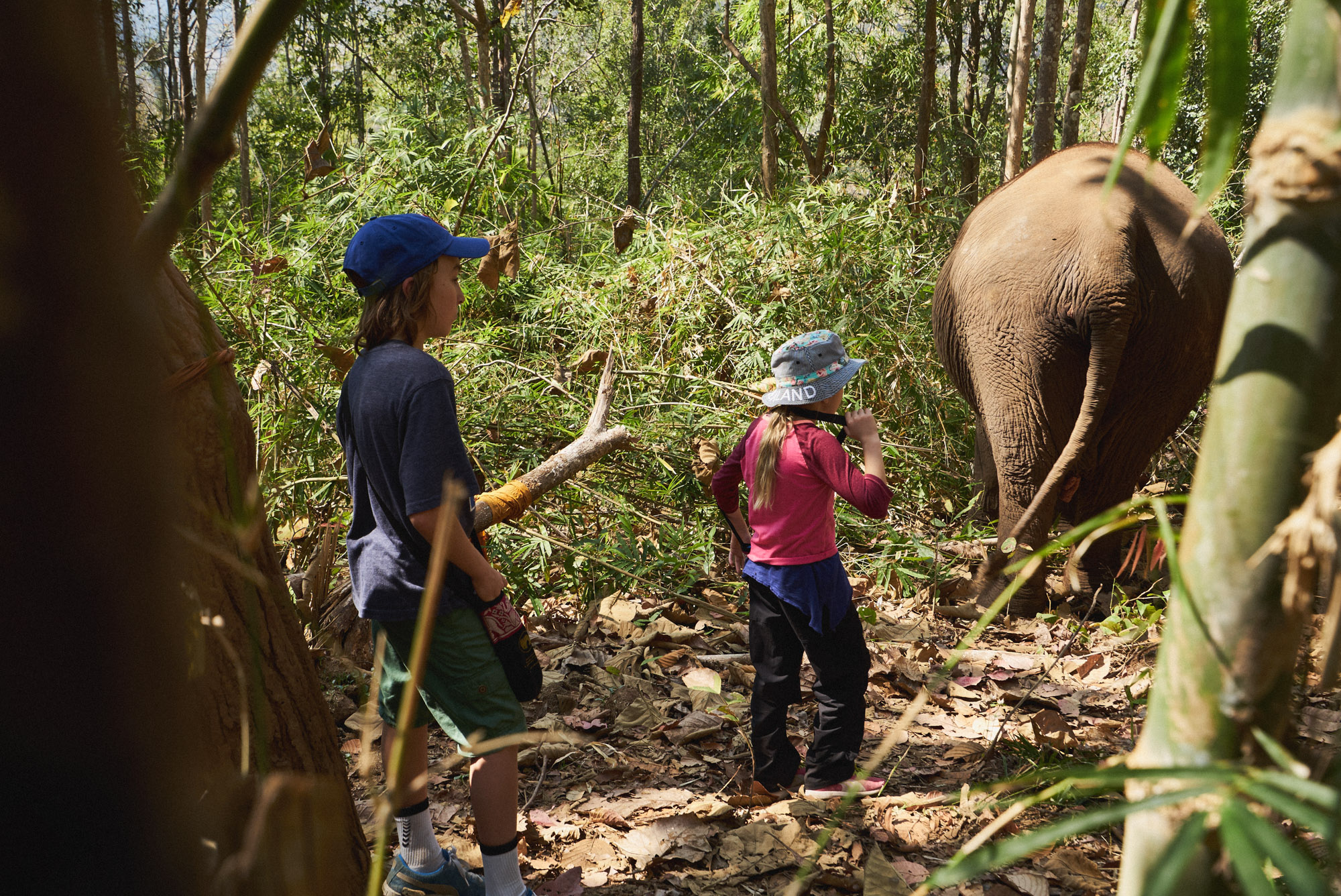 wesley_elephant_park_thailand-16