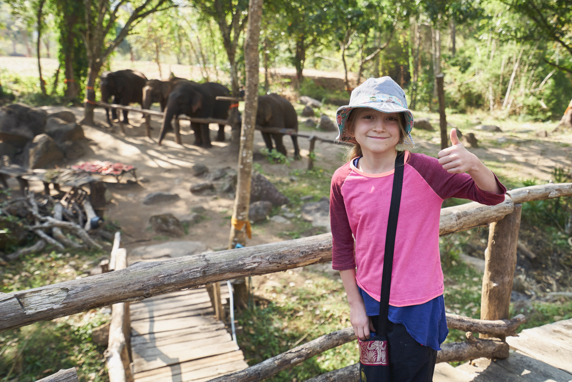 wesley_elephant_park_thailand-2