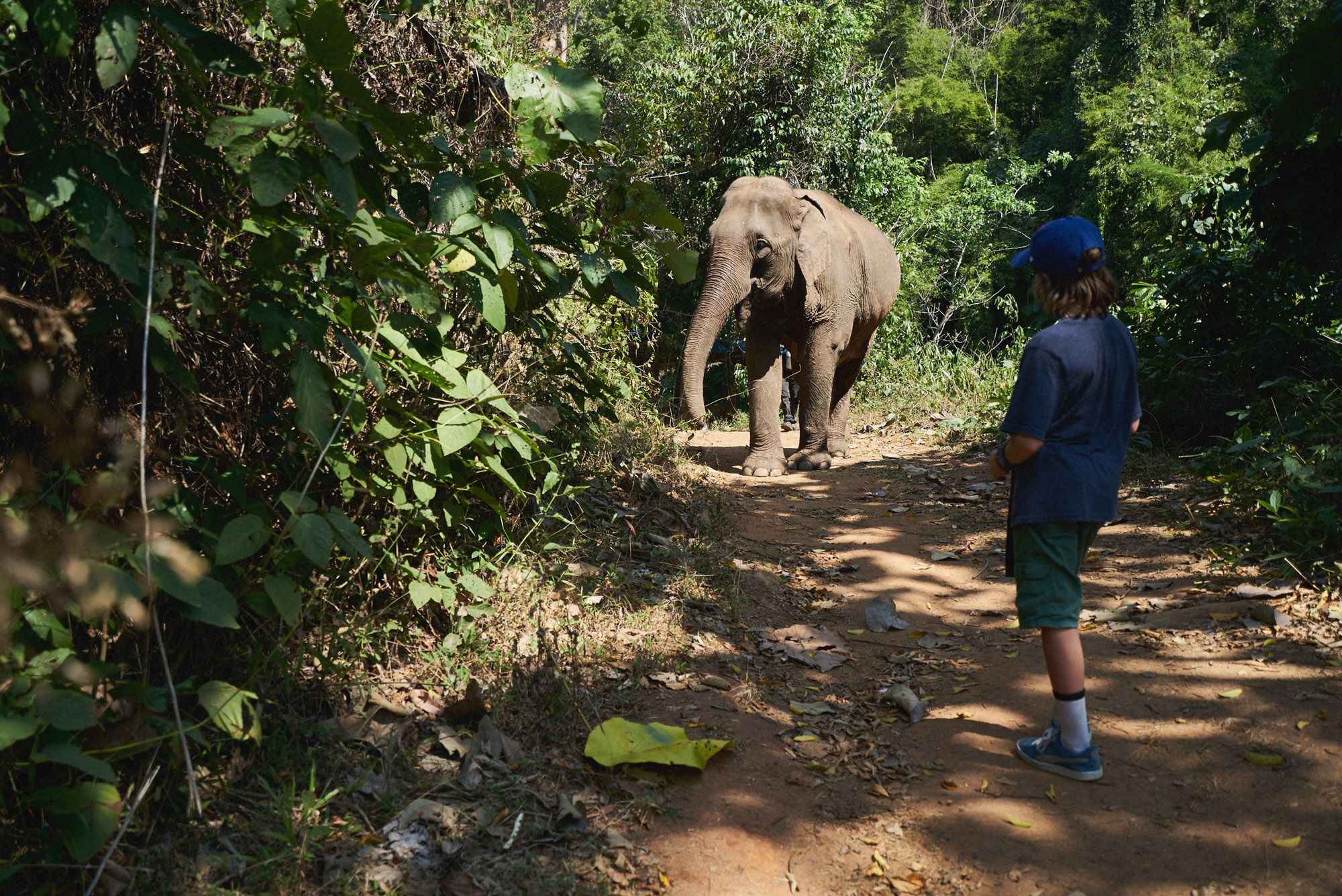 wesley_elephant_park_thailand-24