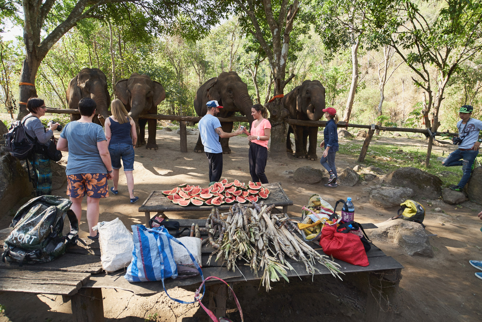 wesley_elephant_park_thailand-3