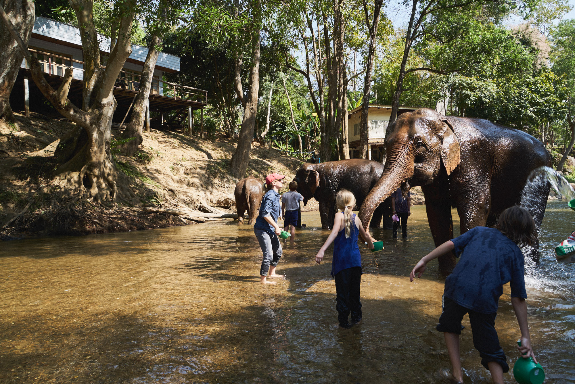 wesley_elephant_park_thailand-30