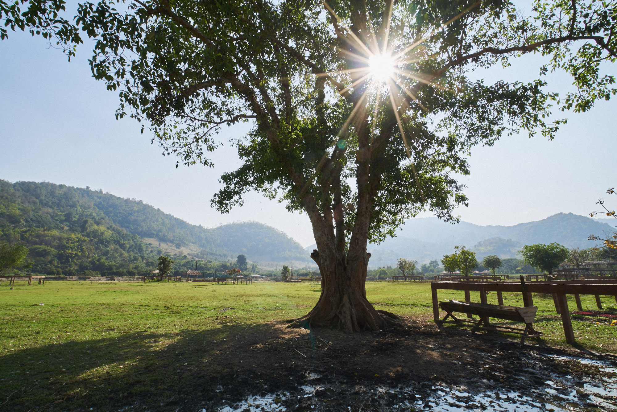 wesley_elephant_park_thailand-34