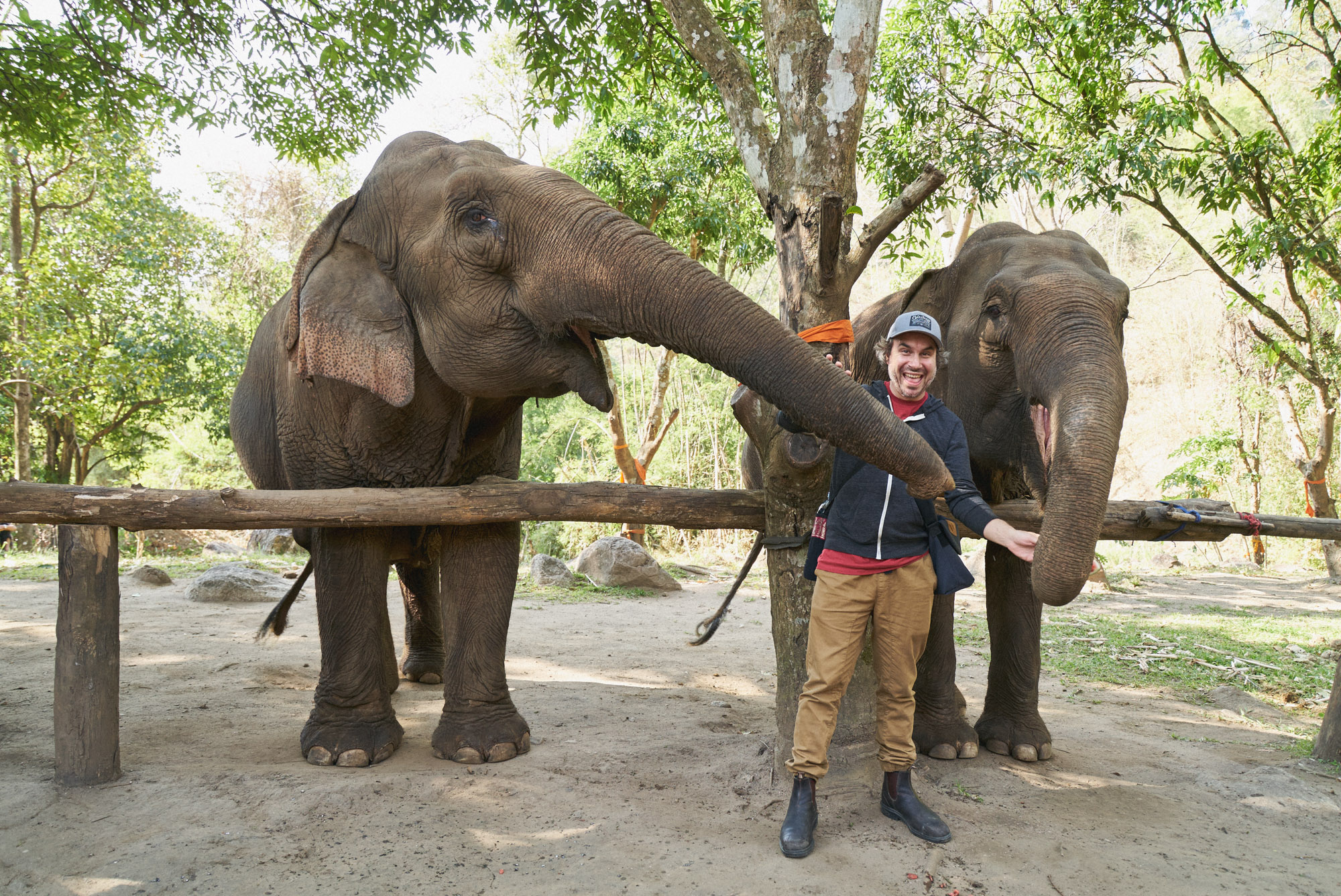 wesley_elephant_park_thailand-8