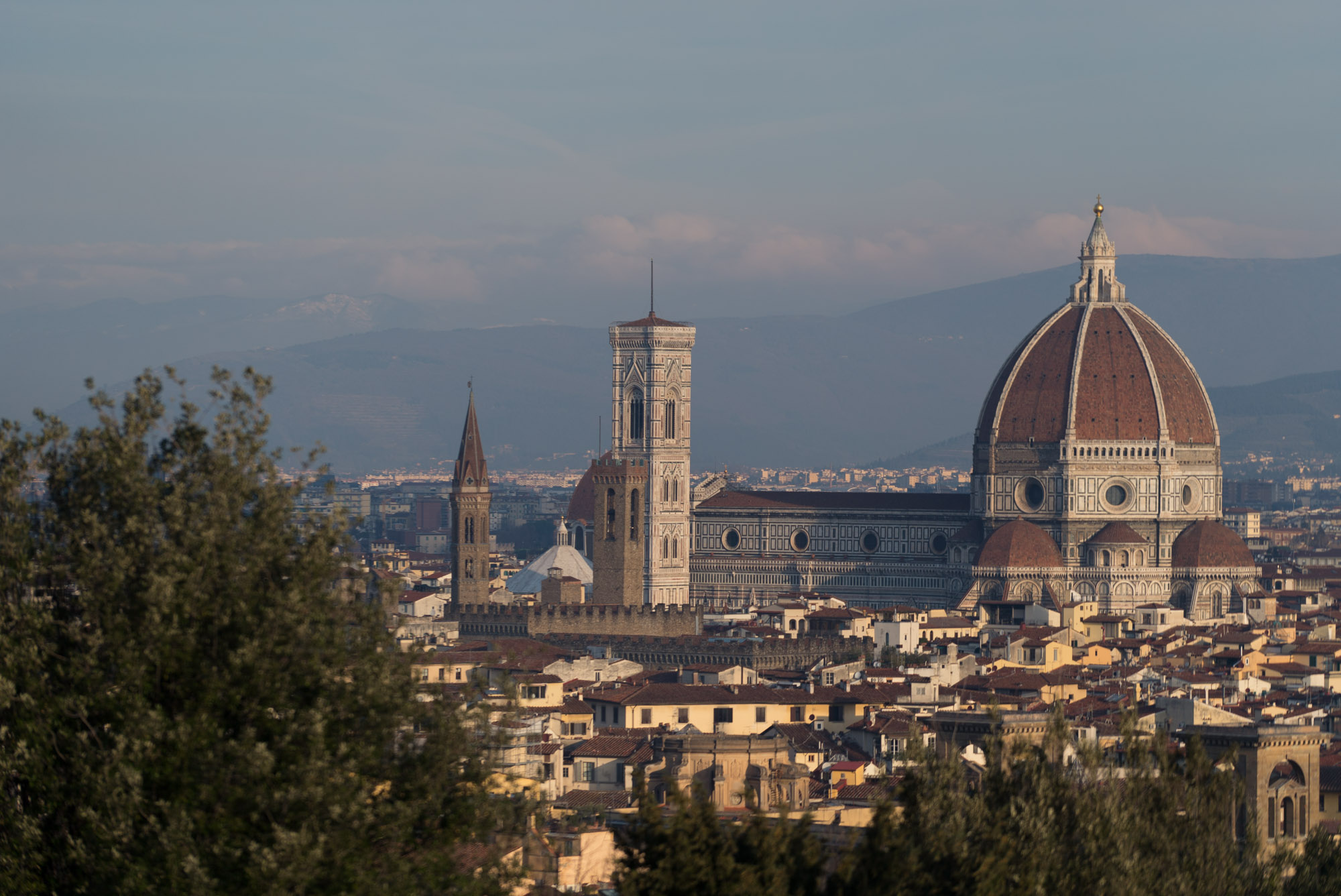 florence_jonathan-6