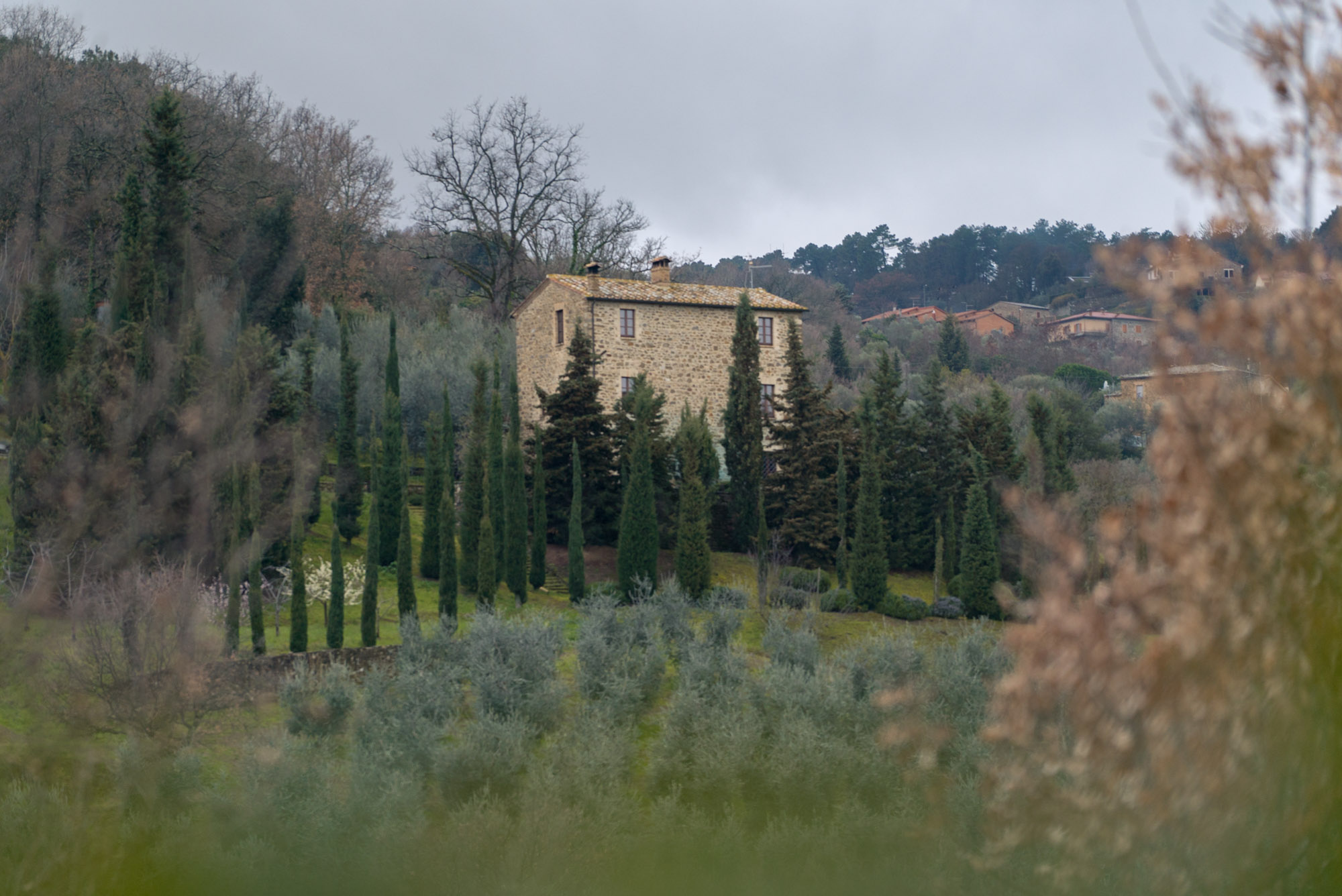 montalcino_michelle-38