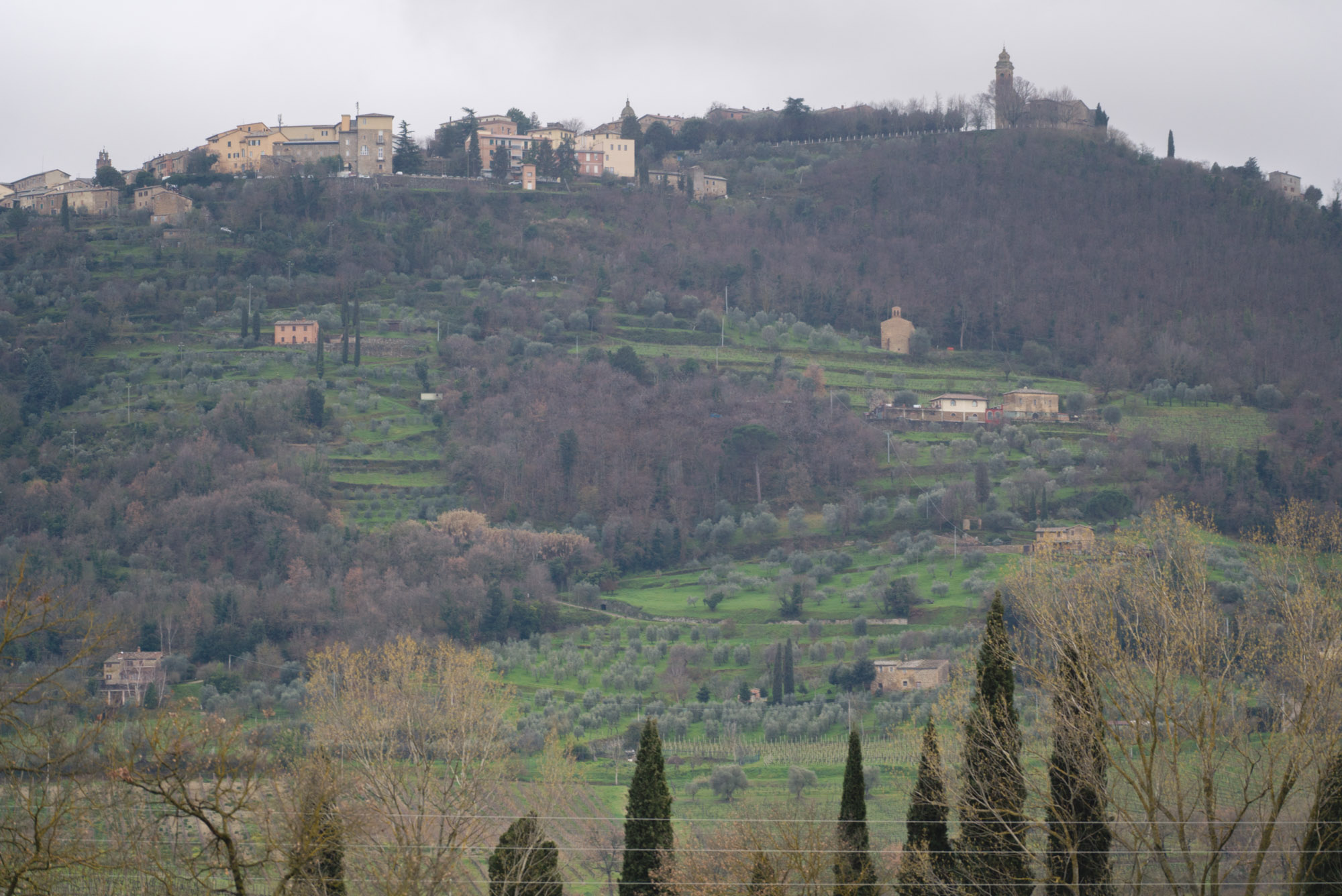 montalcino_michelle-43