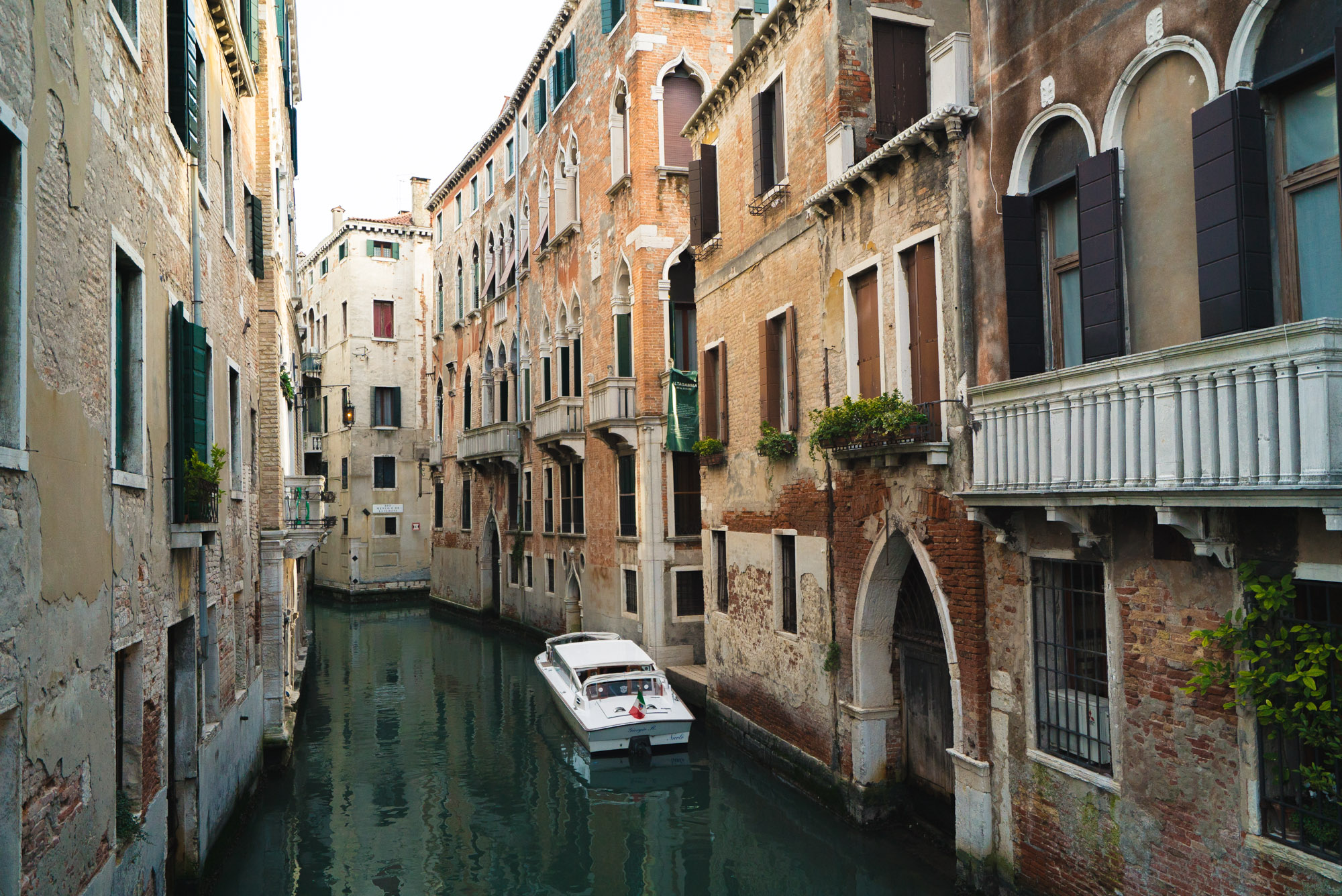 venice_wesley-28