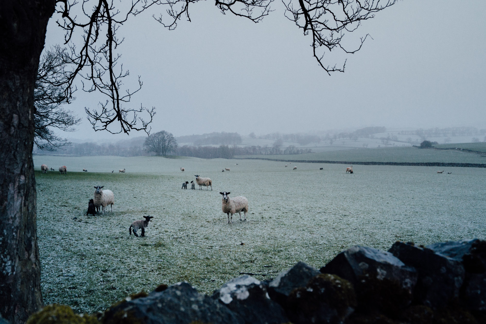 wesley_england_liverpool_malham_cove-28